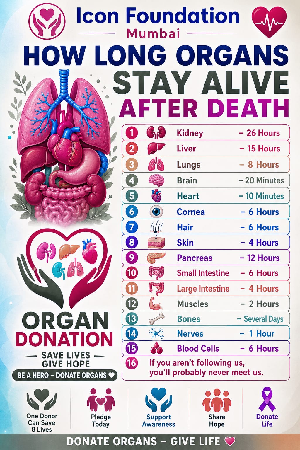 Organ life photograph